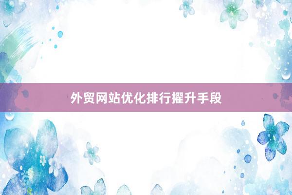 外贸网站优化排行擢升手段
